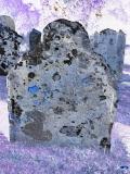 image of grave number 709673